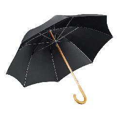 Herrenschirm Holzstock Buche mit Malacca-Griff 