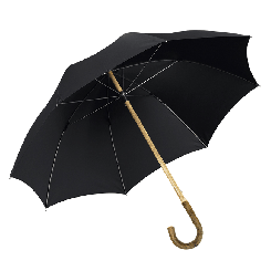 Herrenschirm Holzstock Esche mit Esche-Griff lackiert 