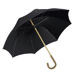 Herrenschirm Holzstock Esche mit Esche-Griff natur 