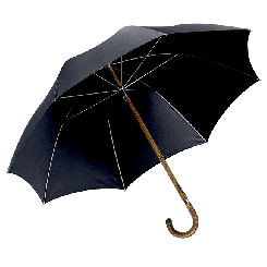 Herrenschirm Holzstock Rüster (Ulme) mit Rüster-Griff 