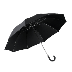 Herrenschirm Metallstock mit Eidechsen-Leder-Griff 